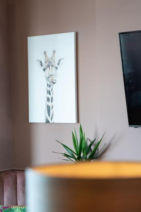 Stylish Beachfront Apartment, Sweeping Ocean Views And Luxury Touches Herne Bay Bagian luar foto